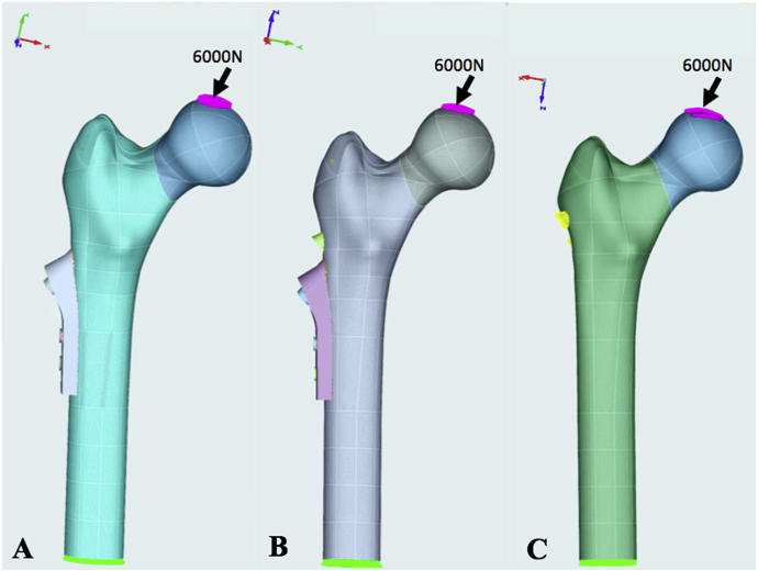 Fig. 2