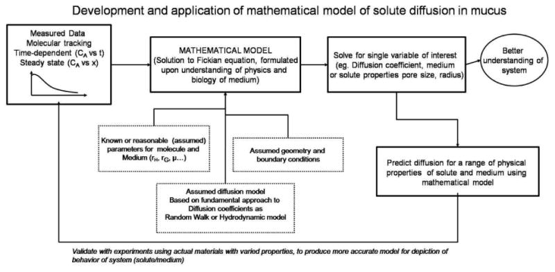 Figure 2.4