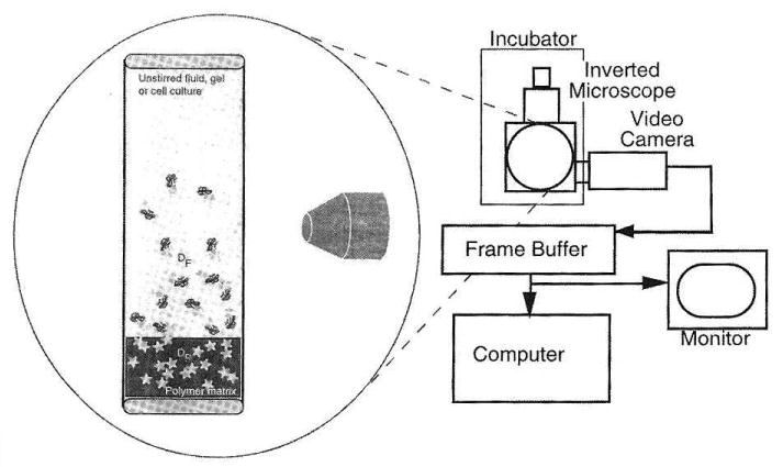 Figure 3.4