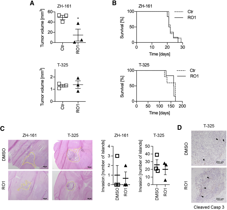 Figure 6