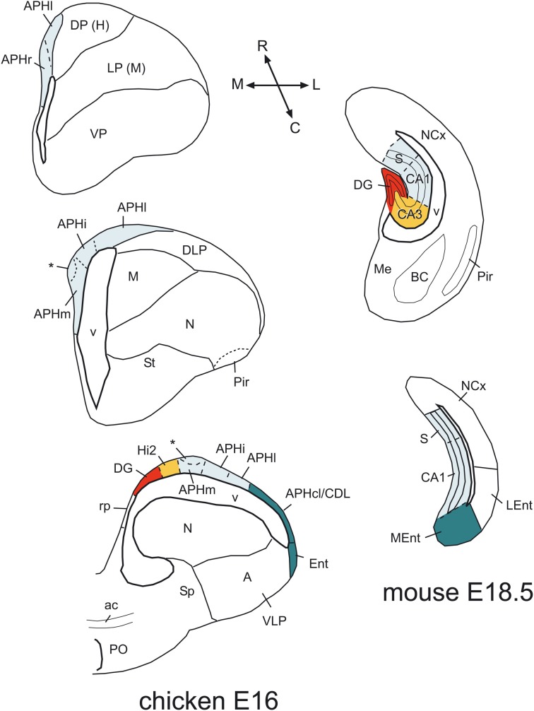 Figure 12