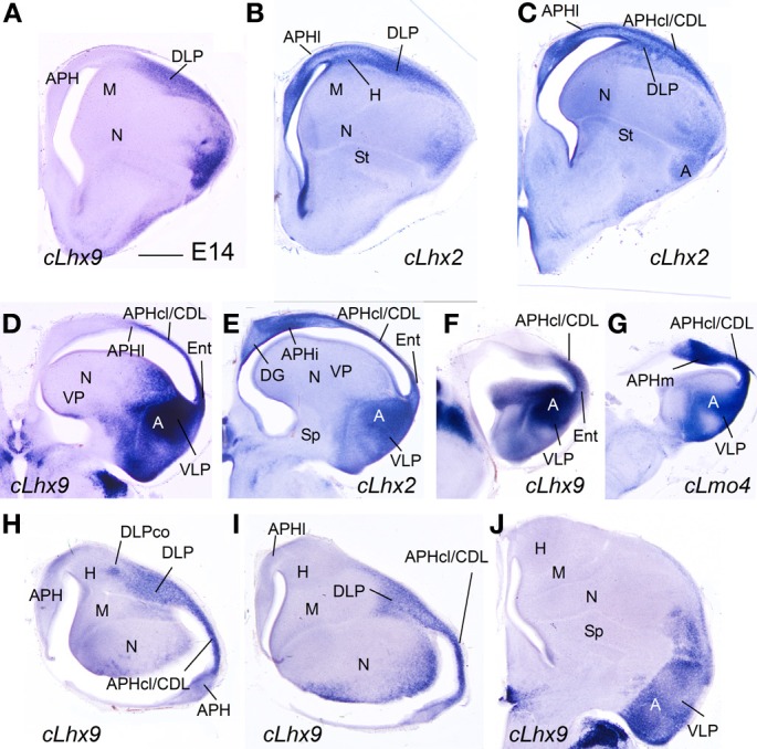 Figure 10