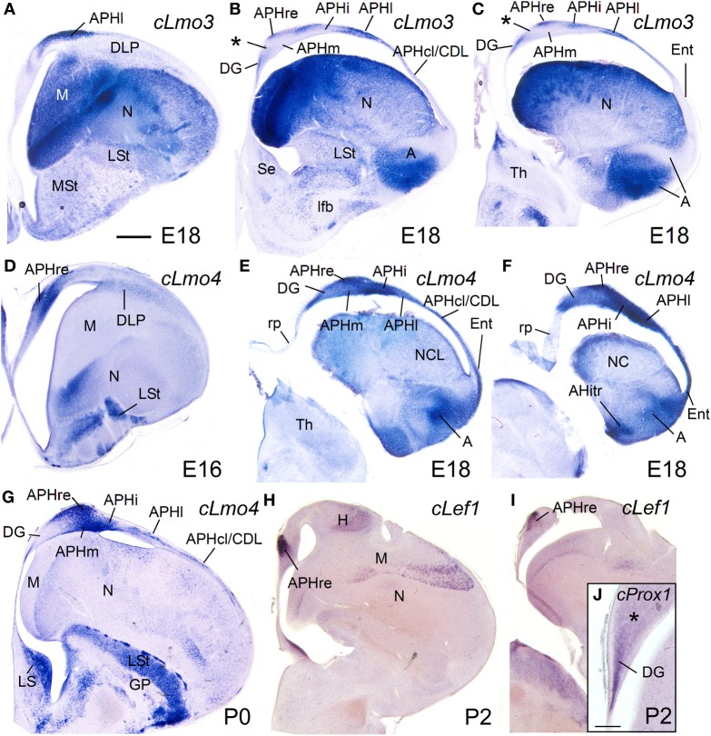 Figure 11