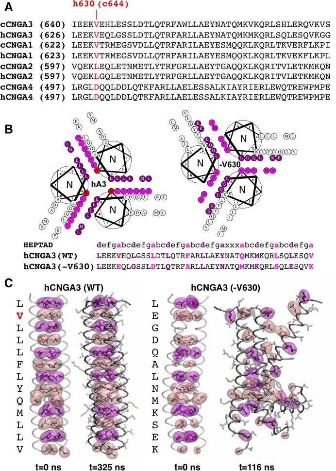 Fig 4