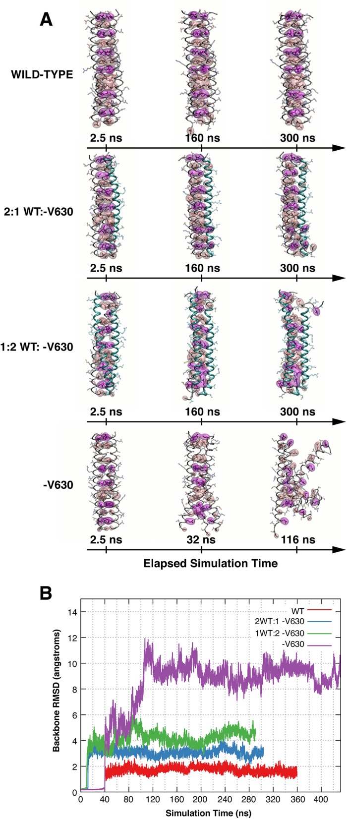 Fig 6