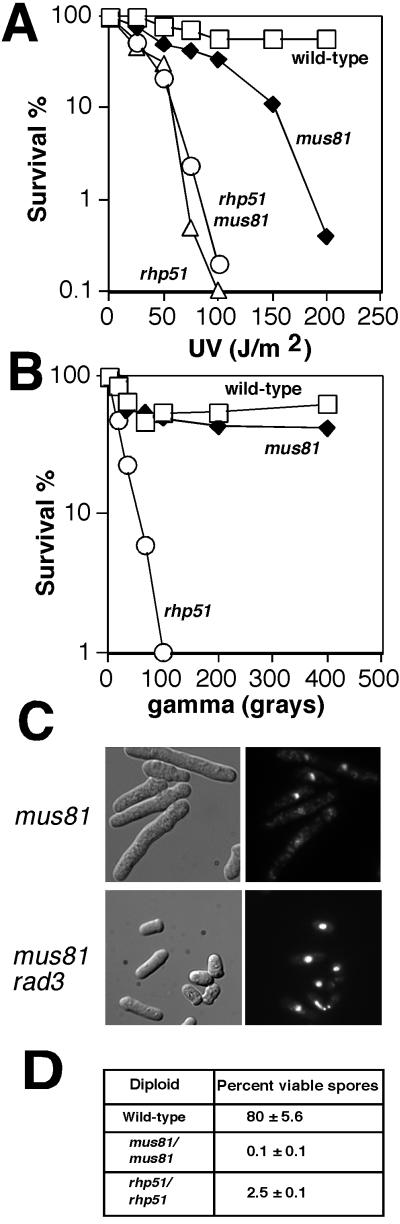 FIG. 5