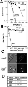 FIG. 5