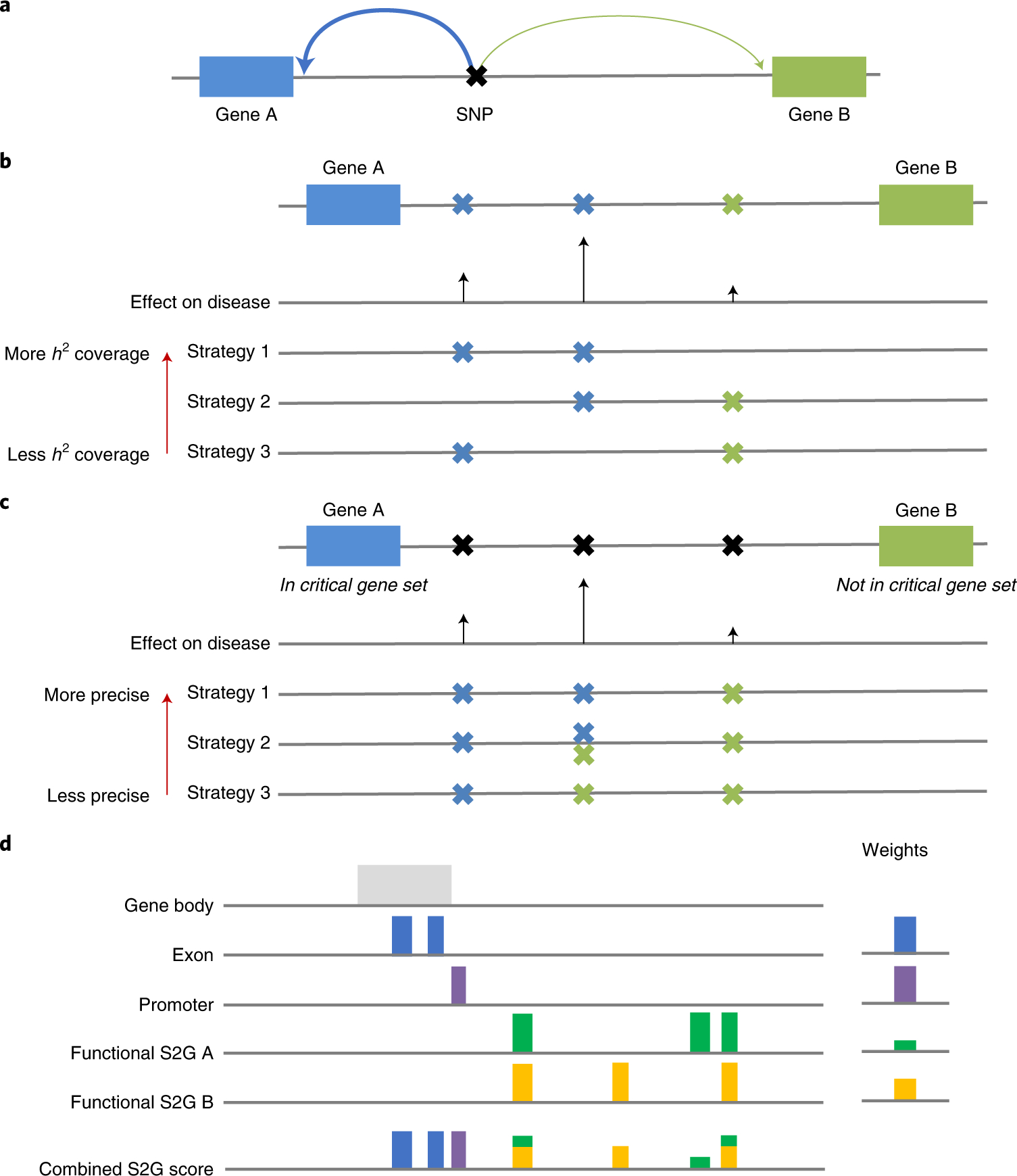 Figure 1: