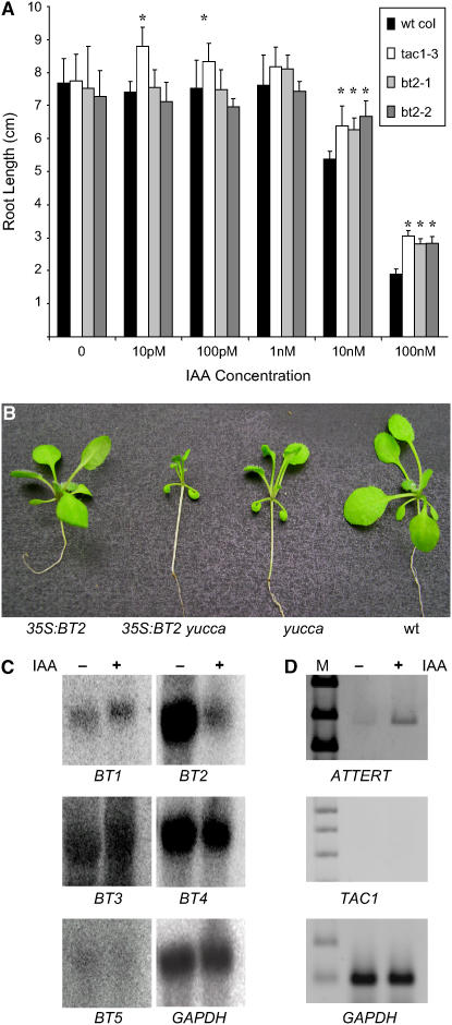 Figure 5.