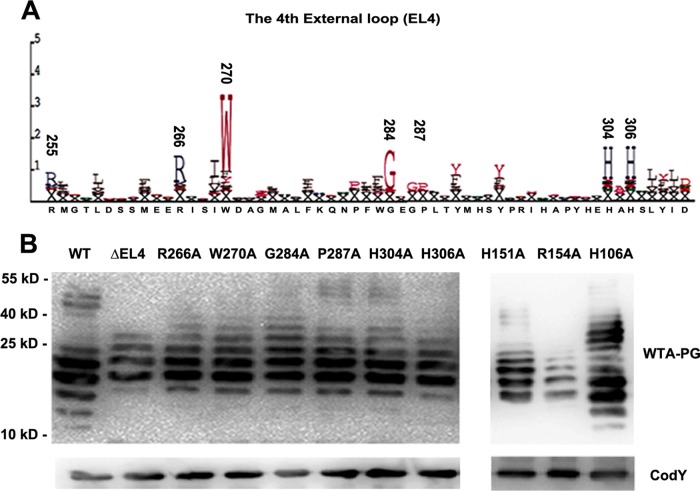 FIG 3