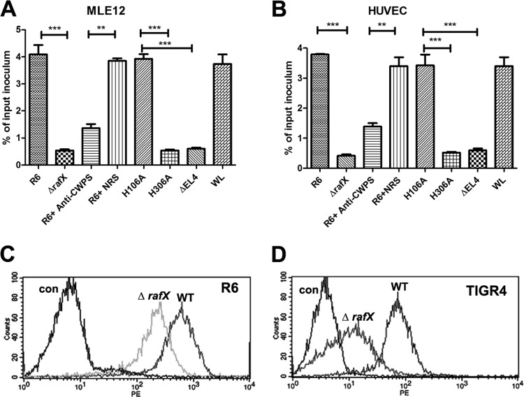 FIG 6