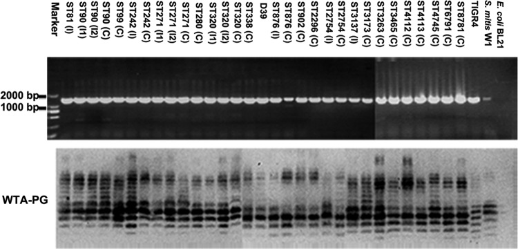 FIG 4