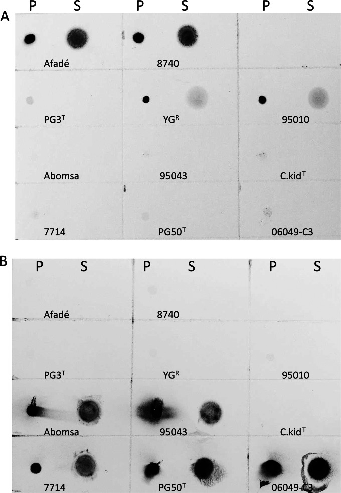 FIG 3