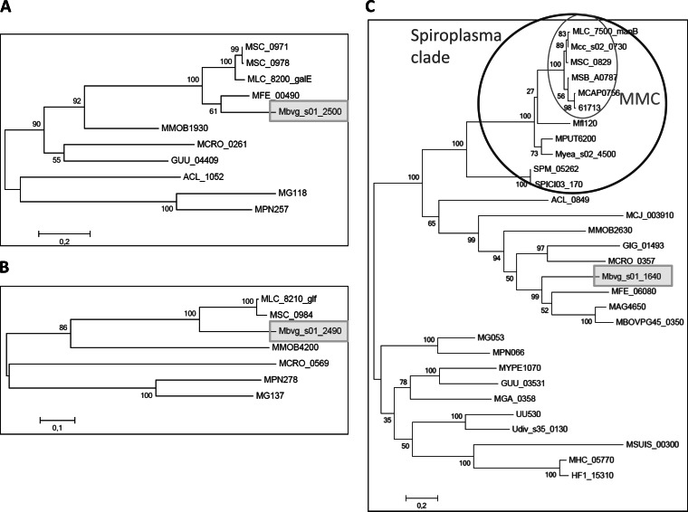 FIG 6