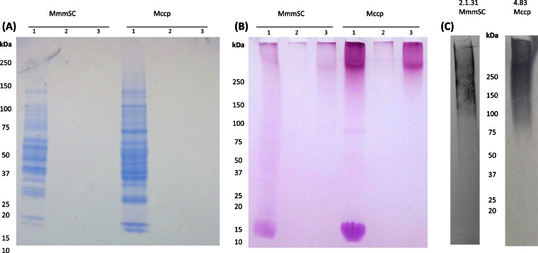 FIG 2