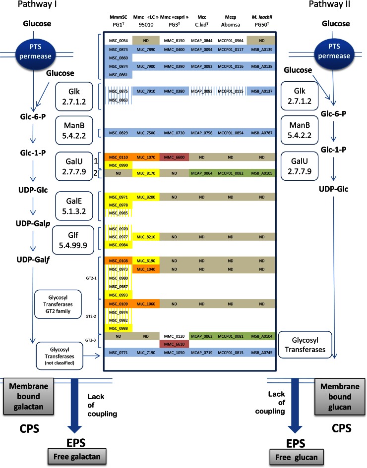 FIG 4