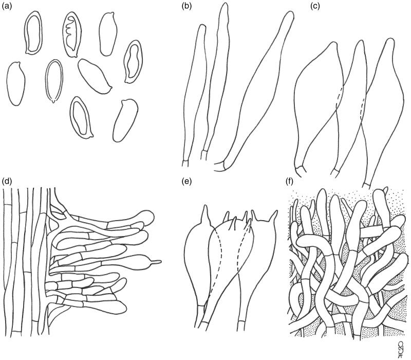 Figure 5.