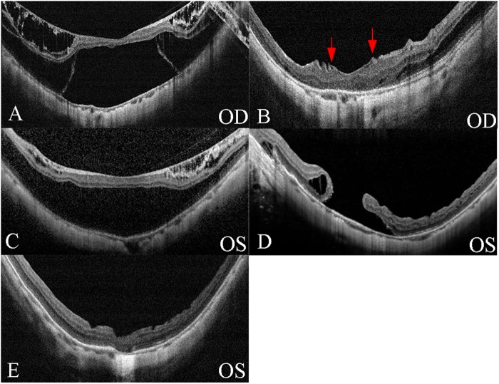 Fig. 3