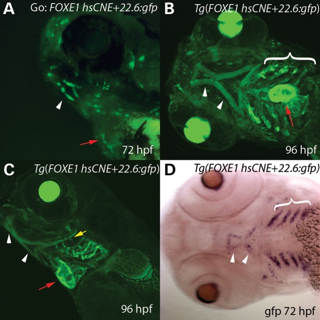 Figure 3.