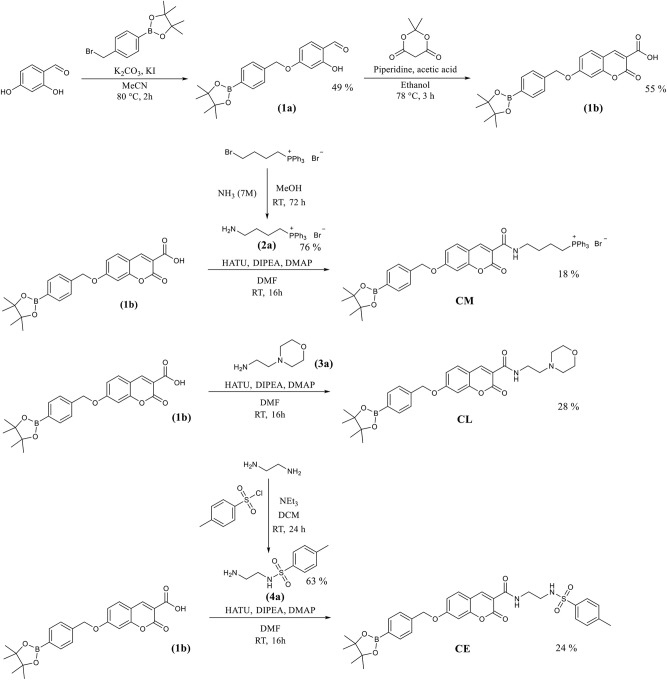 Scheme 2