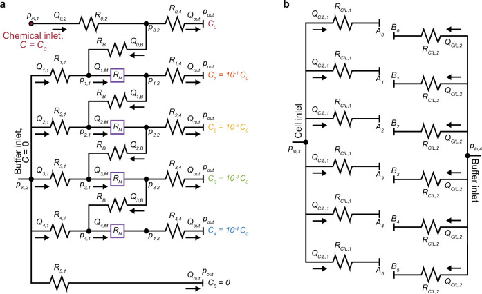 Figure 1—figure supplement 2.