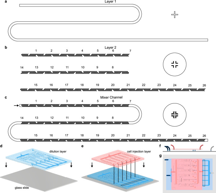 Figure 1—figure supplement 4.