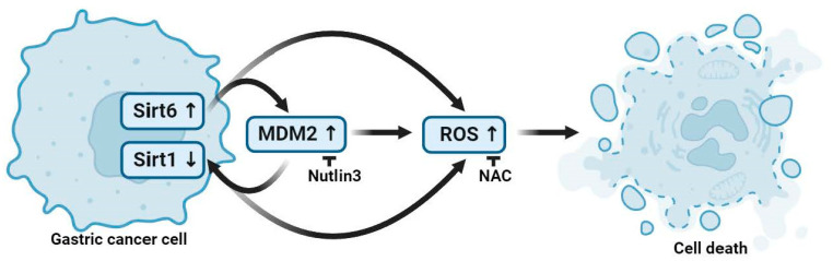 Figure 6