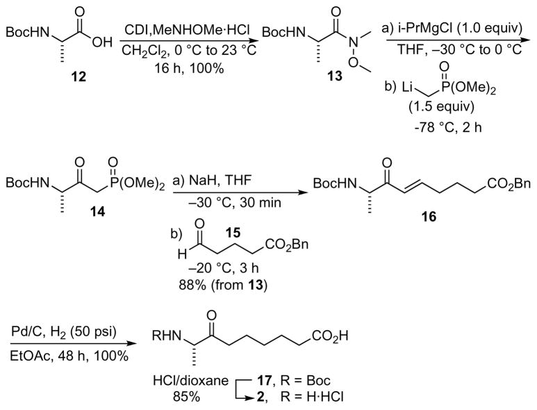 Scheme 2