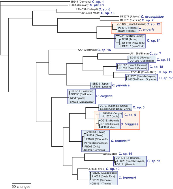 Figure 7