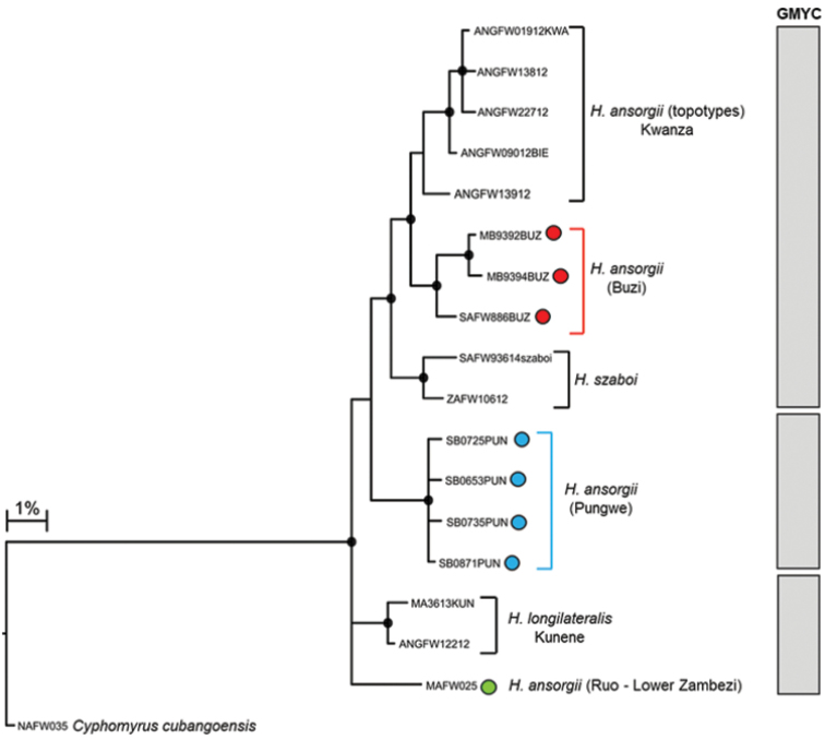 Figure 5a.