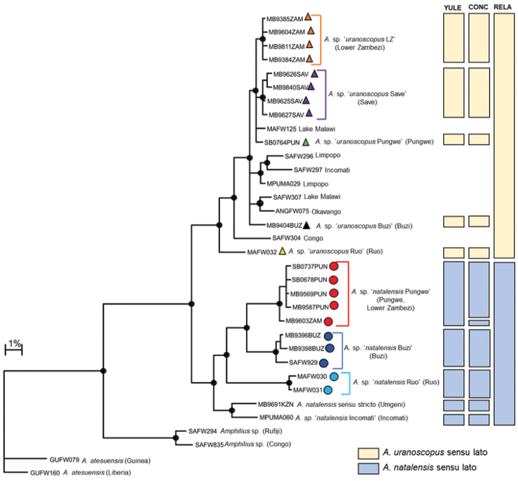 Figure 3a.