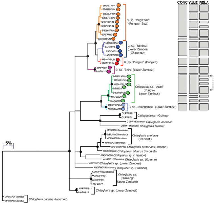 Figure 2a.