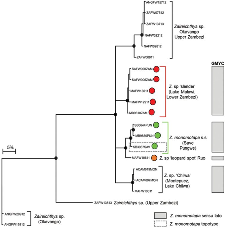 Figure 4a.