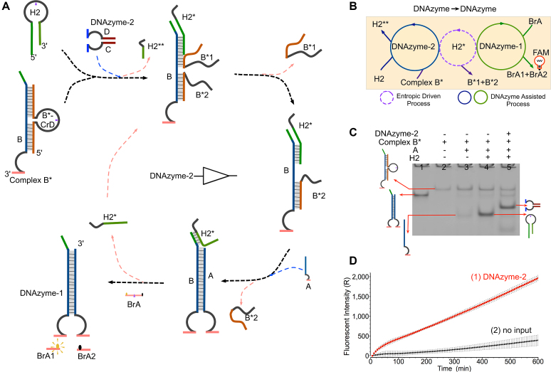 Figure 2.