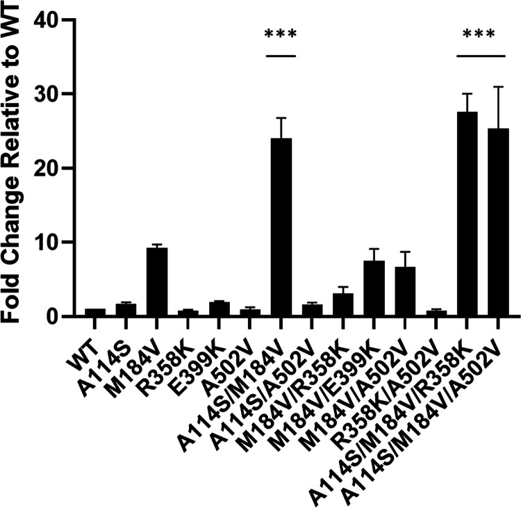 FIG 3