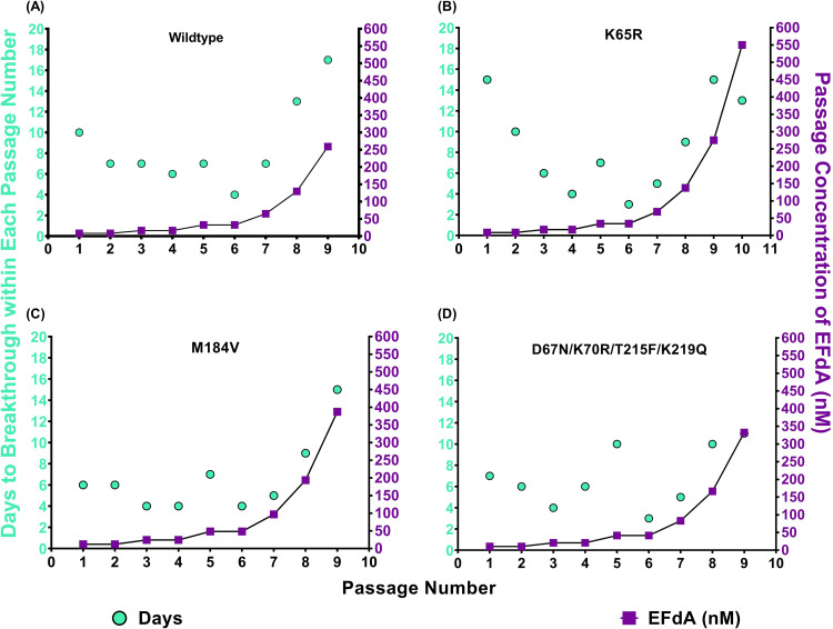 FIG 1