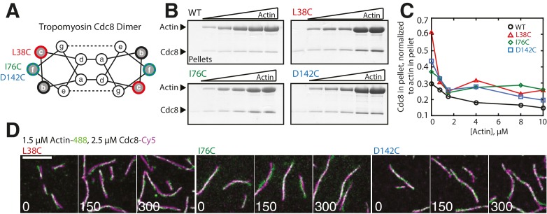 Figure 1—figure supplement 1.