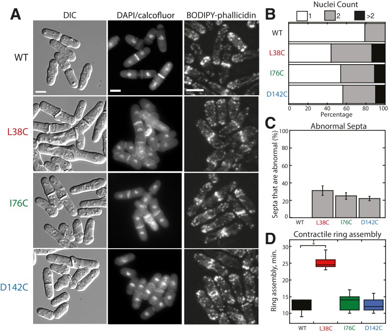 Figure 1—figure supplement 2.