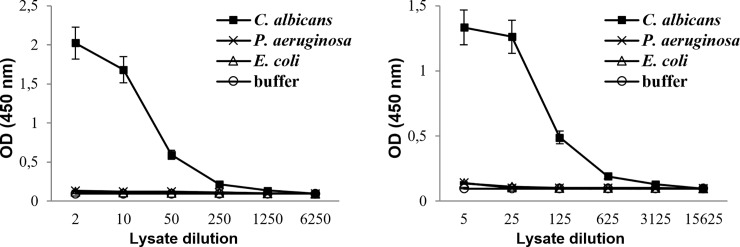 Fig 5