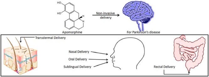 Image, graphical abstract