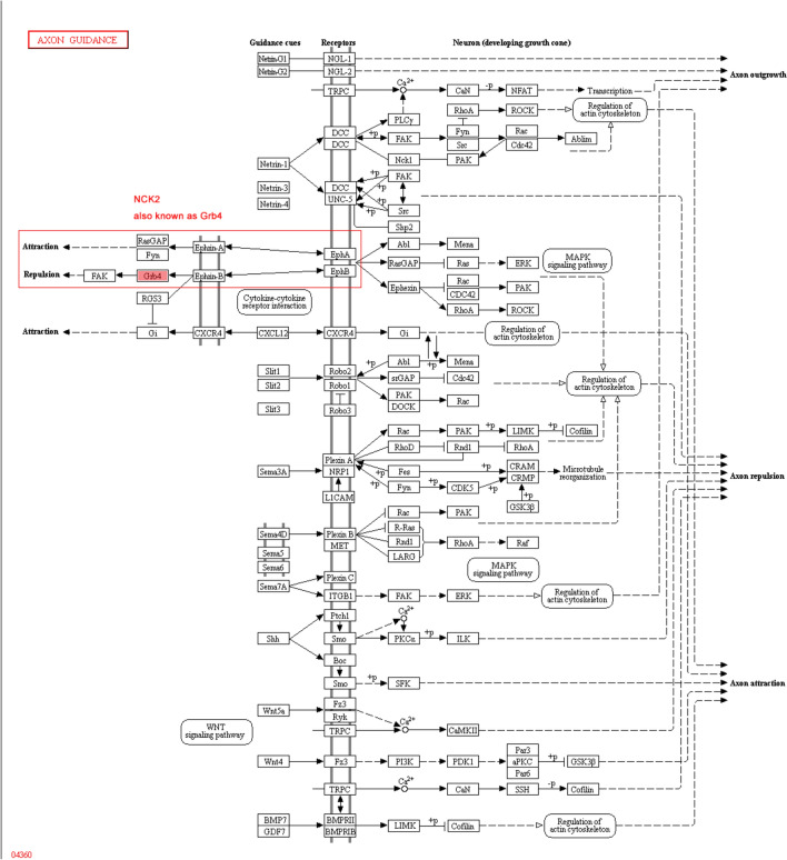 Fig. 7