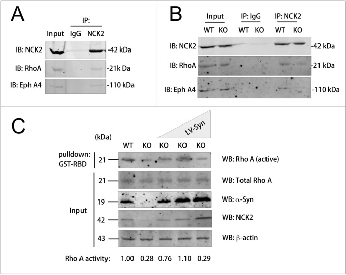 Fig. 9