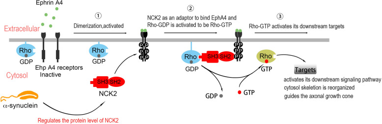 Fig. 10