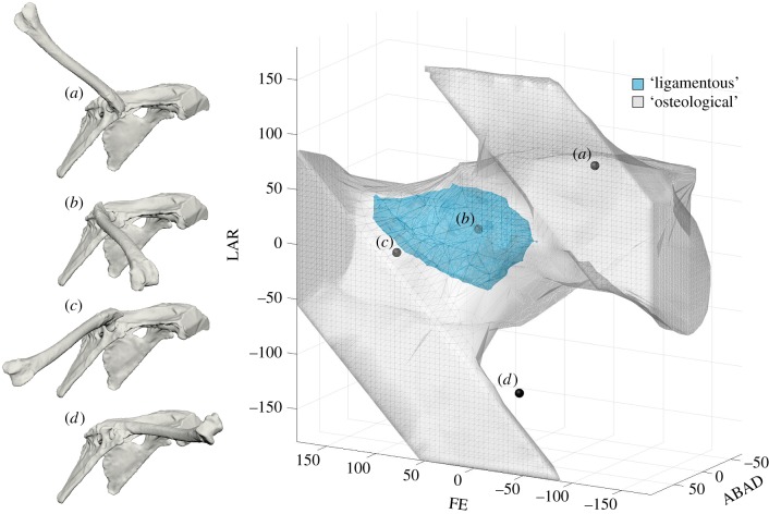 Figure 4.