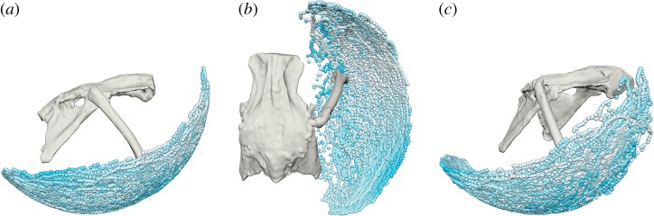 Figure 3.