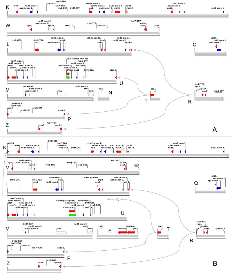 Fig 3