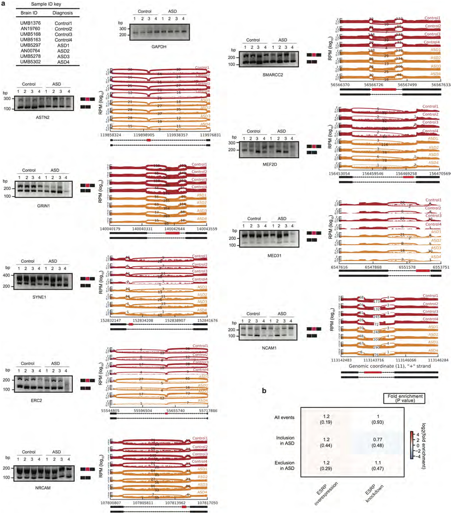 Extended Data Figure 5 |