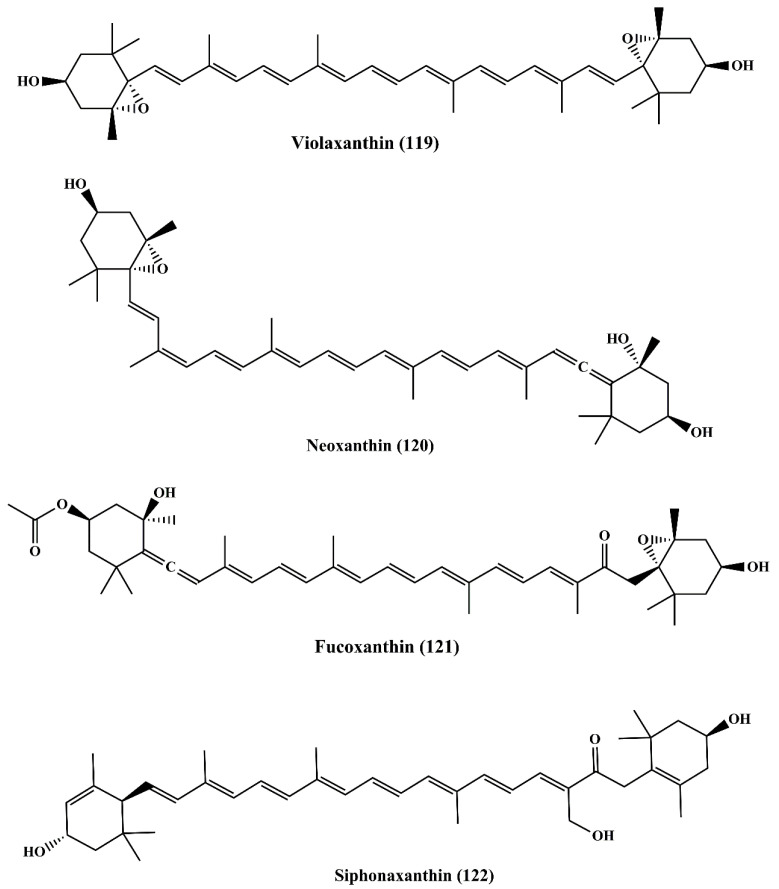 Figure 19