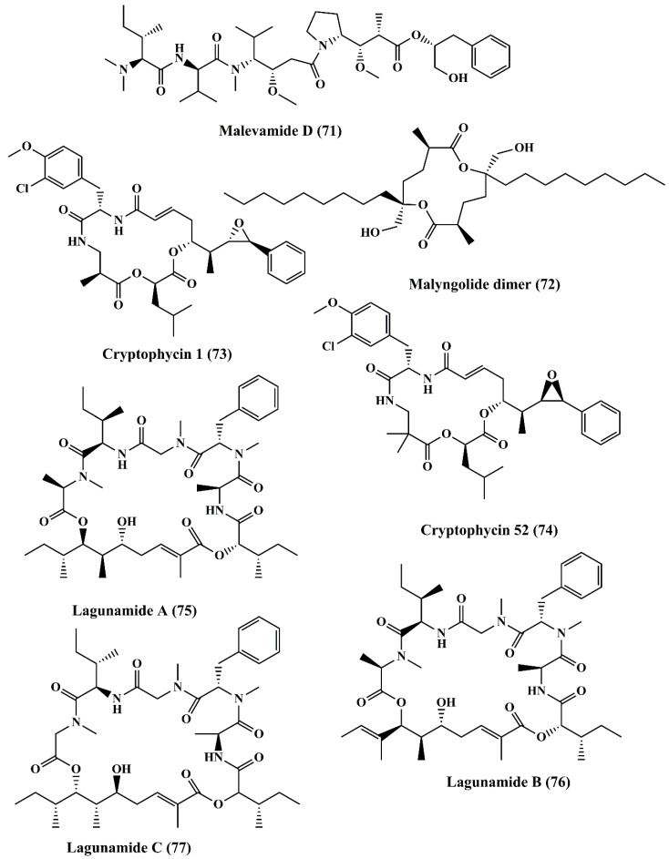 Figure 11