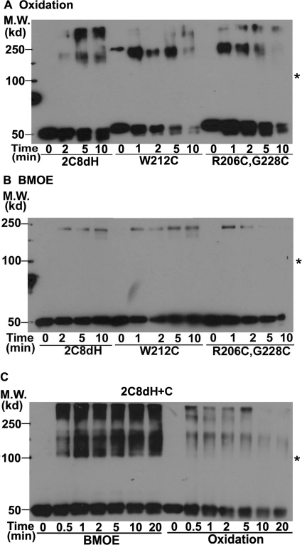 Fig. 8.